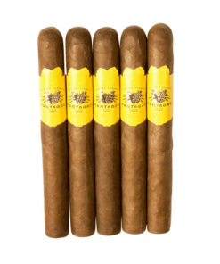 Partagas