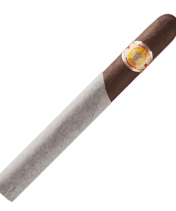 El Rey Del Mundo