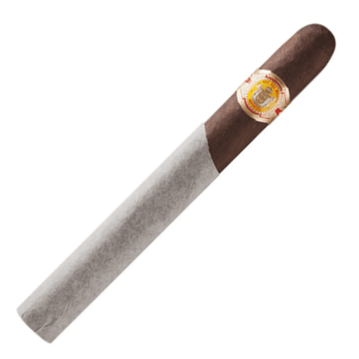 El Rey Del Mundo