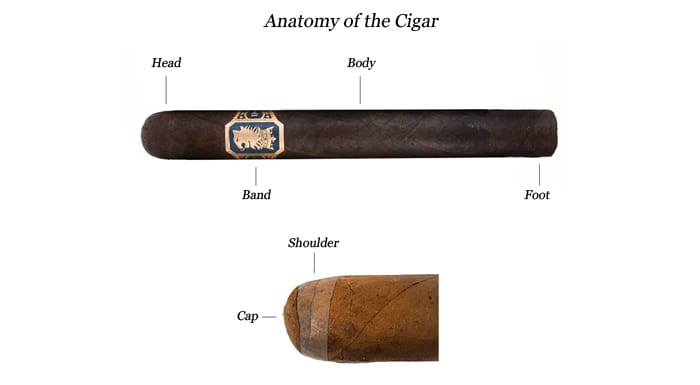 basics before smoking cigar