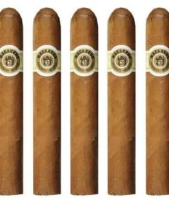 large macanudo cafe gigante 5pk prod shot