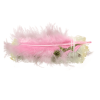 white sage pink feather