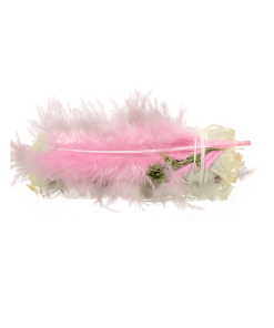 white sage pink feather