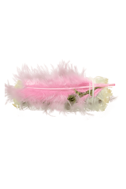 white sage pink feather