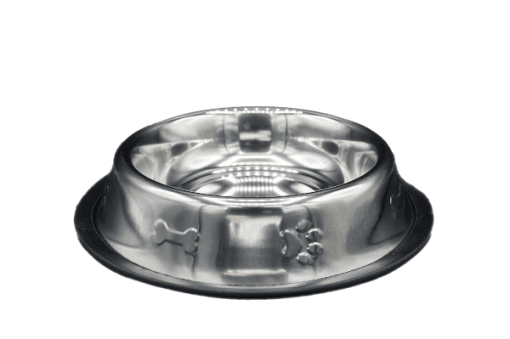 Dog Bowl