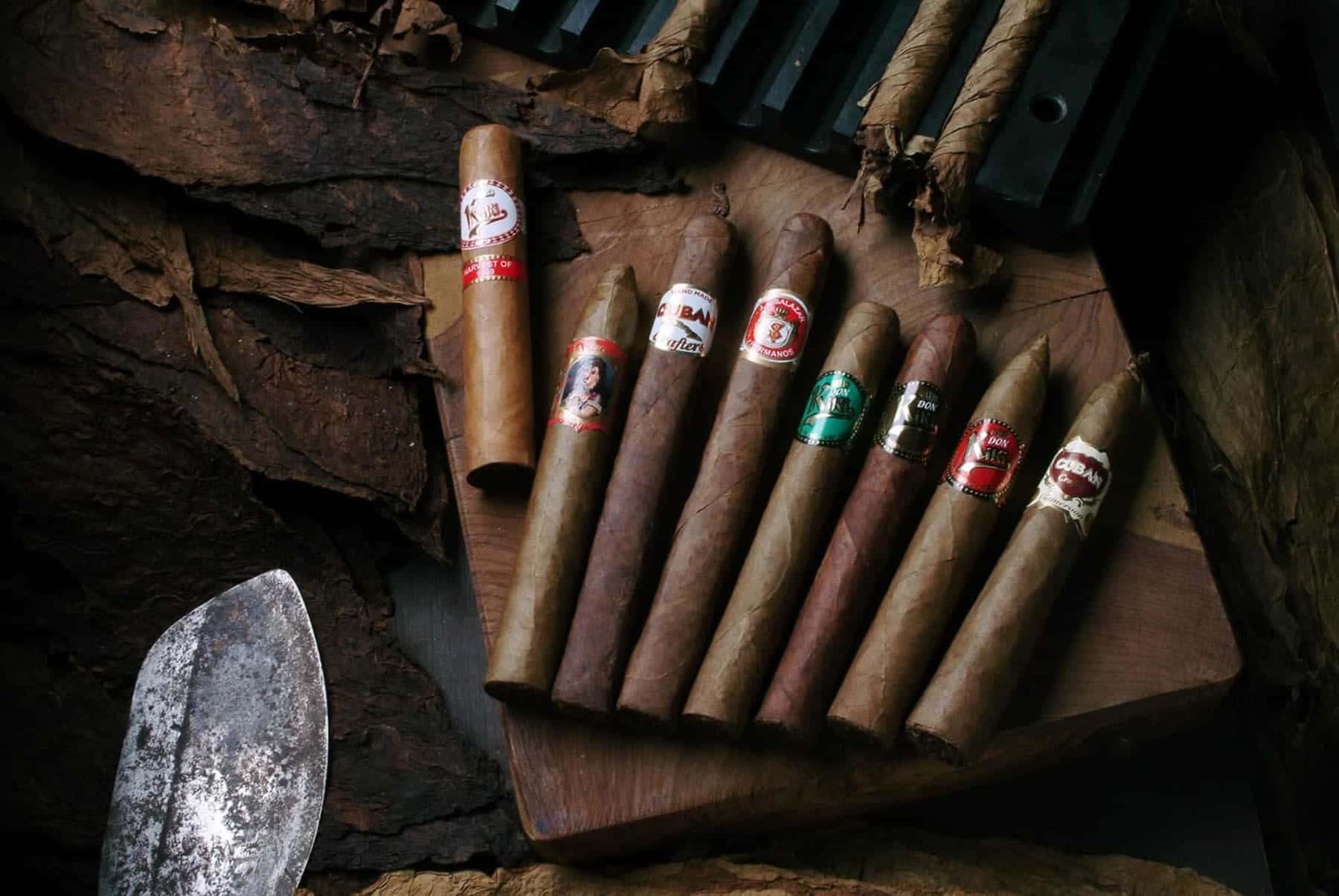 A 2021 Beginner's Guide to Cigars