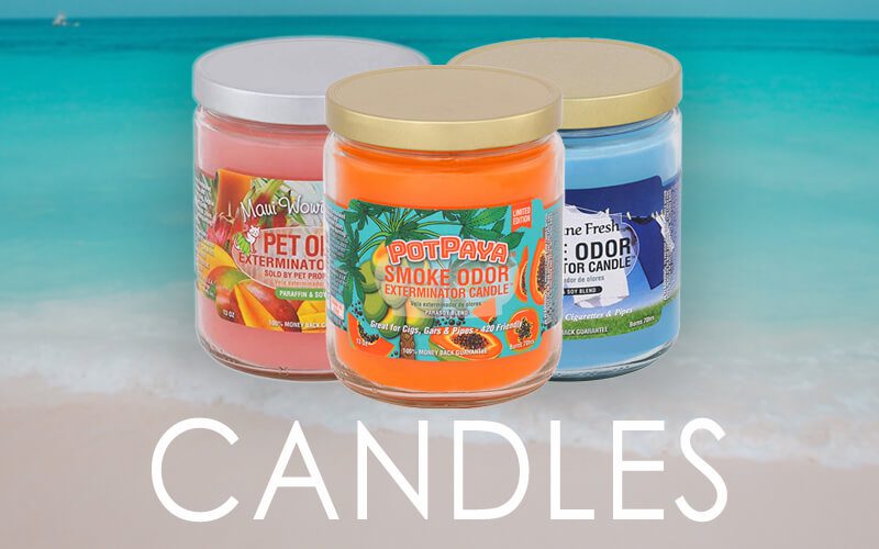 candles newsletter