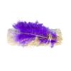 White sage with purple feather