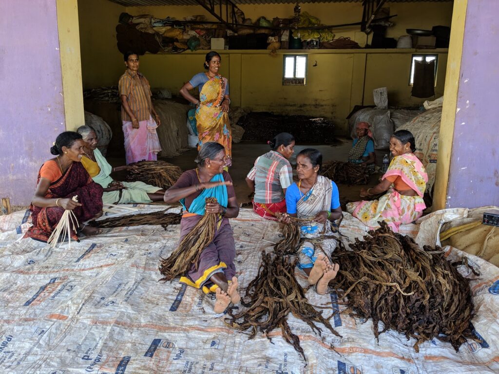 Tobacco Work