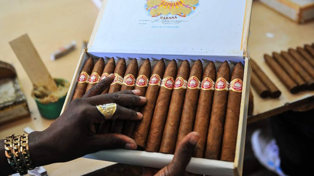 Cuban Cigars