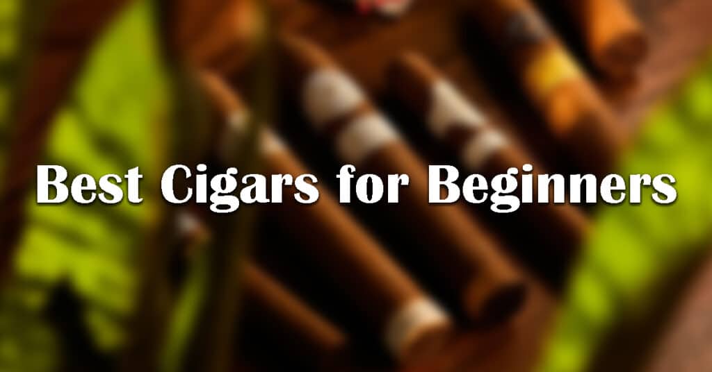 best cigars for beginners