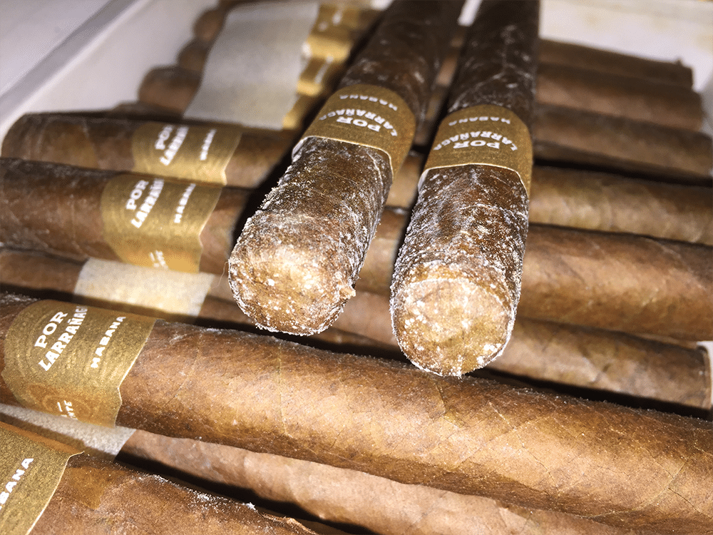 cigars full of plume