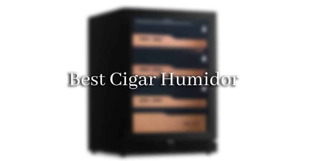 best cigar humidor