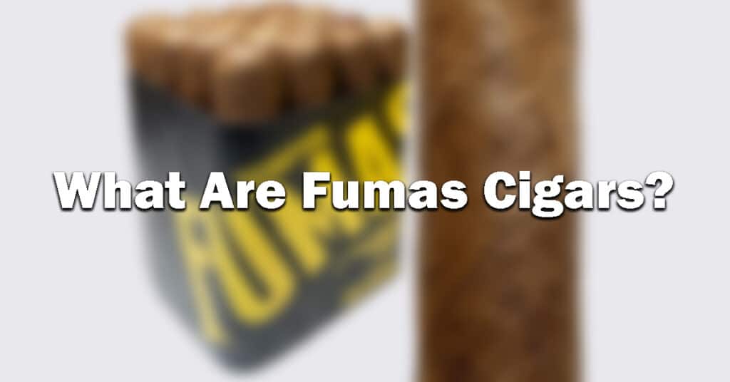 box Cigar fumas