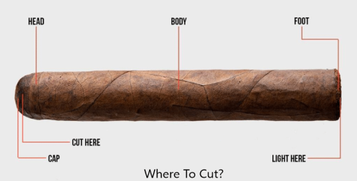 where to cut