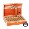 Avo XO Intermezzo Cigars (5 X 50) - Box of 20