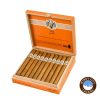 Avo XO Preludio Cigars (6 X 40) - Box of 20